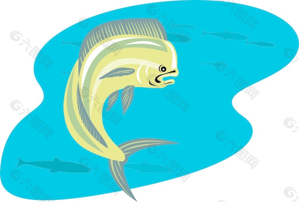 多拉多海豚魚鰍跳