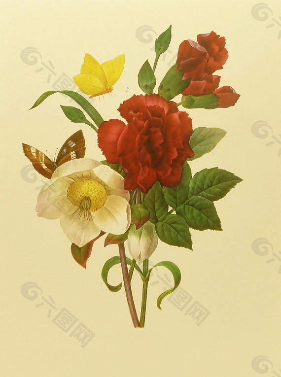 位圖 植物圖案 寫意花卉 花朵 免費素材