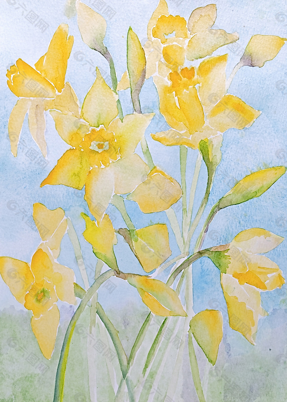 位圖 植物 寫意花卉 花朵 免費素材