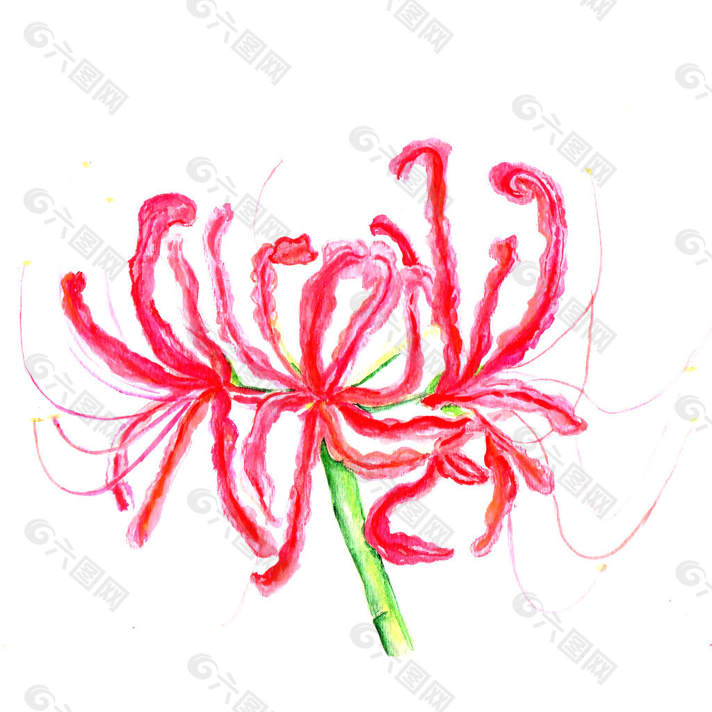 位圖 植物 寫意花卉 花朵 免費素材