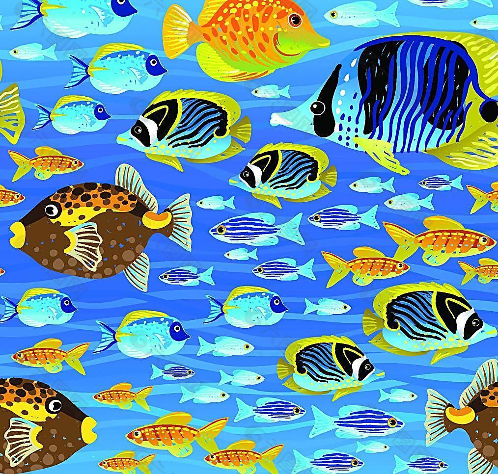 海洋生物圖片
