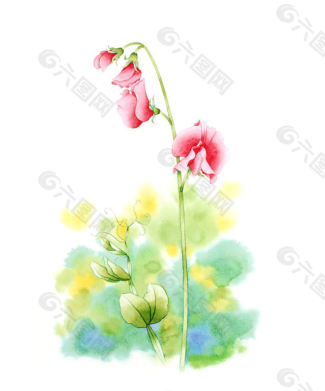 位圖 寫意花卉 藝術效果 水彩 花卉 免費素材
