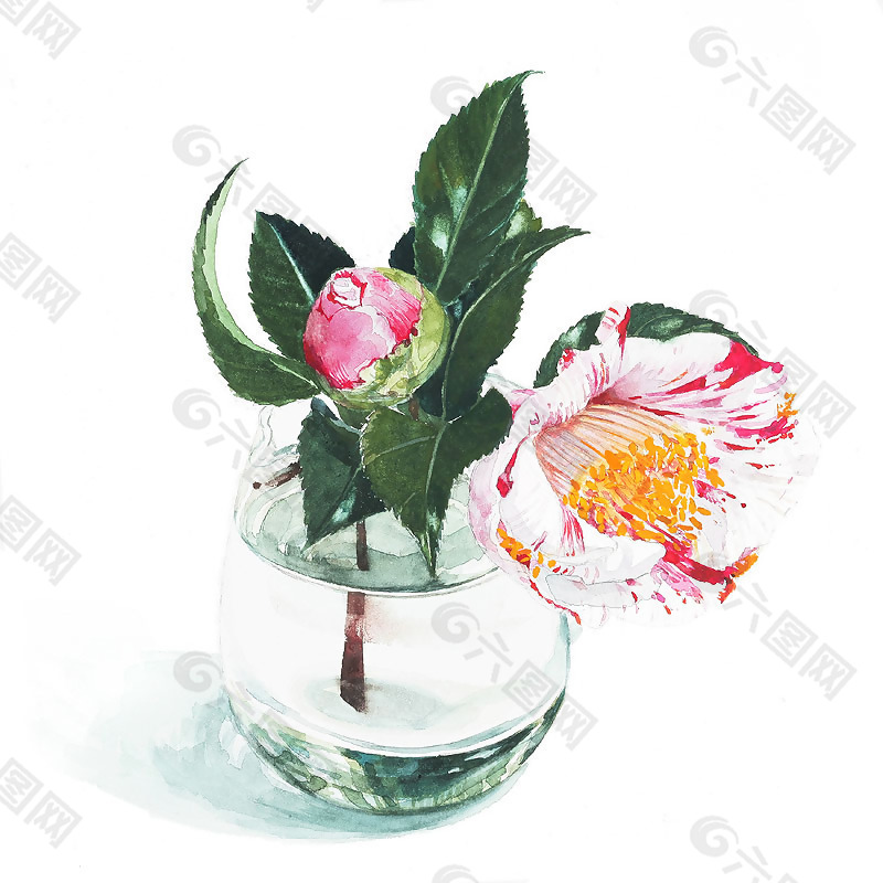 位圖 插畫 插畫師 柘植彩子 日本 免費素材
