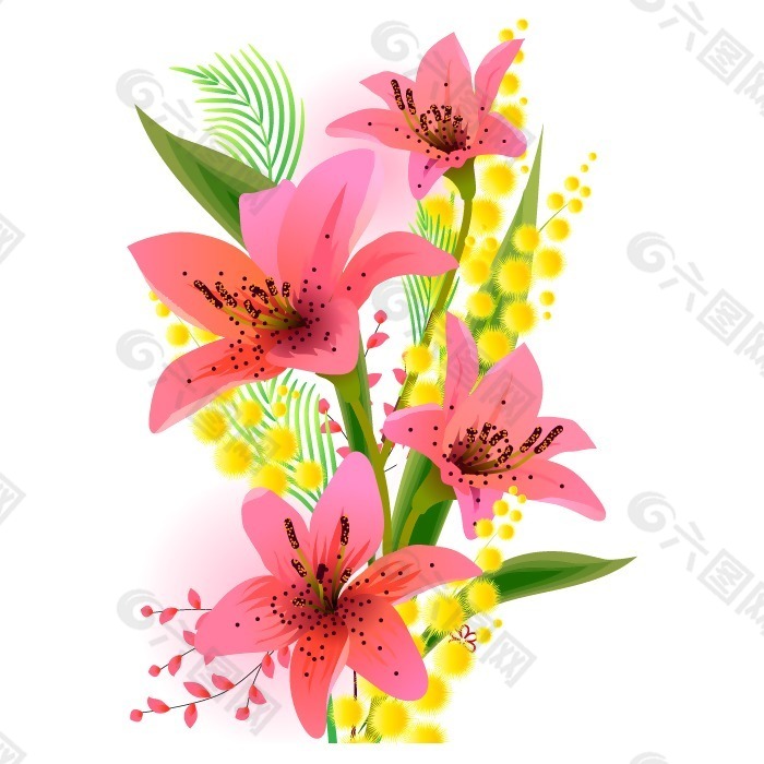 矢量圖 植物 寫意花卉 花朵 百合 免費素材