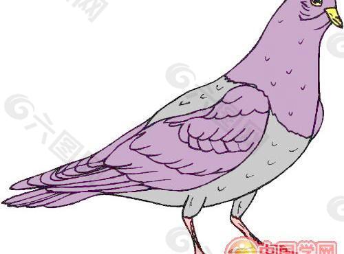 鳥類矢量
