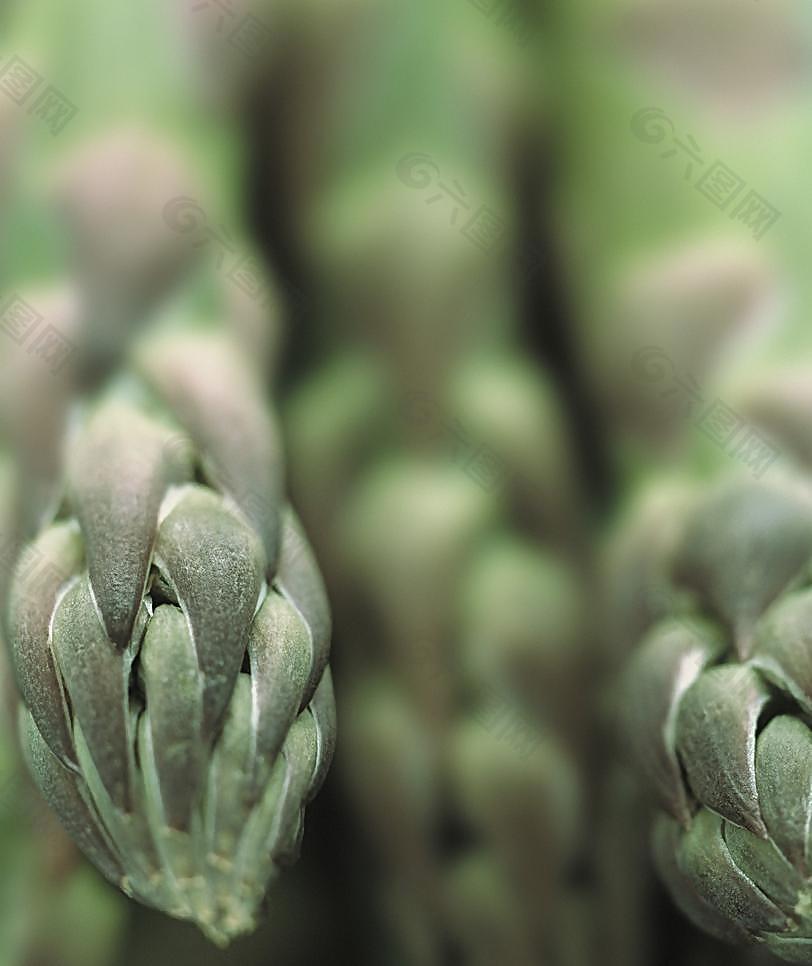 蔬菜圖片
