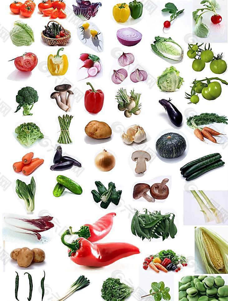 蔬菜大全图片产品工业素材免费下载(图片编号:3633669