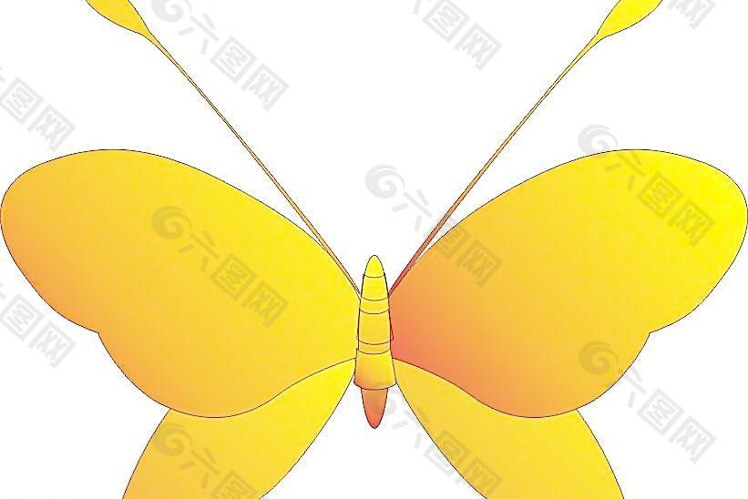 蝴蝶圖片