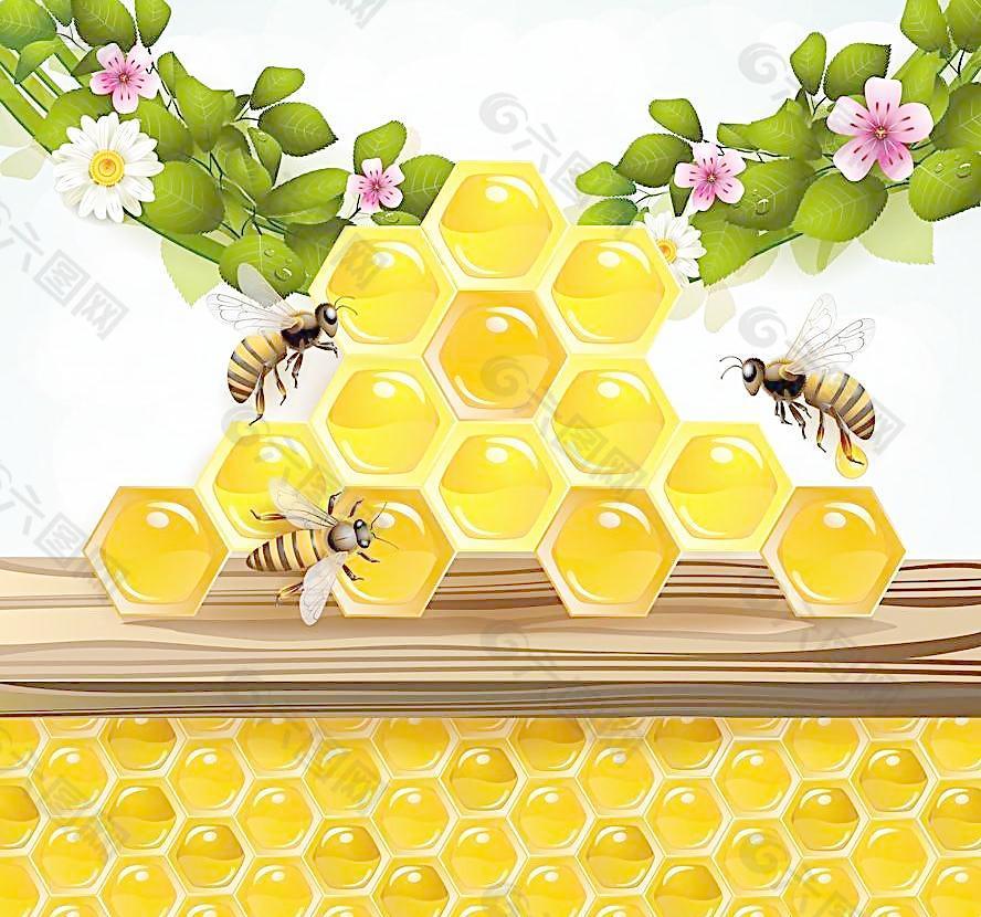 蜜蜂鮮花綠葉蜂巢背景圖片