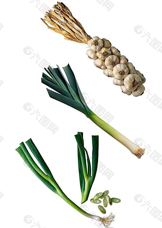 調(diào)味品圖片