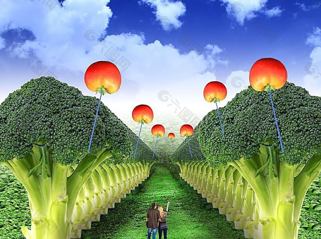 花菜林圖片