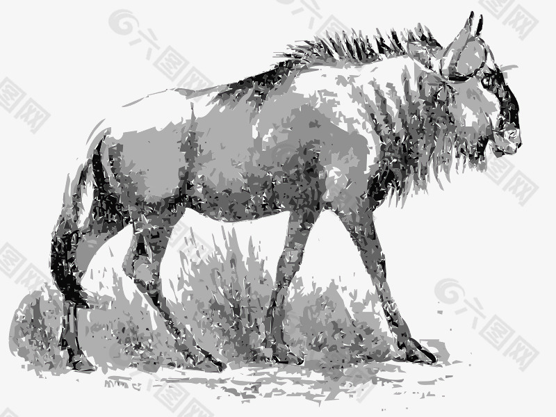 角馬角馬