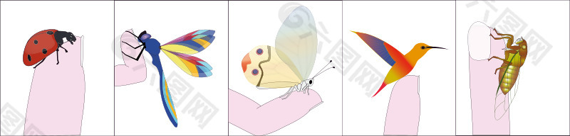 手指