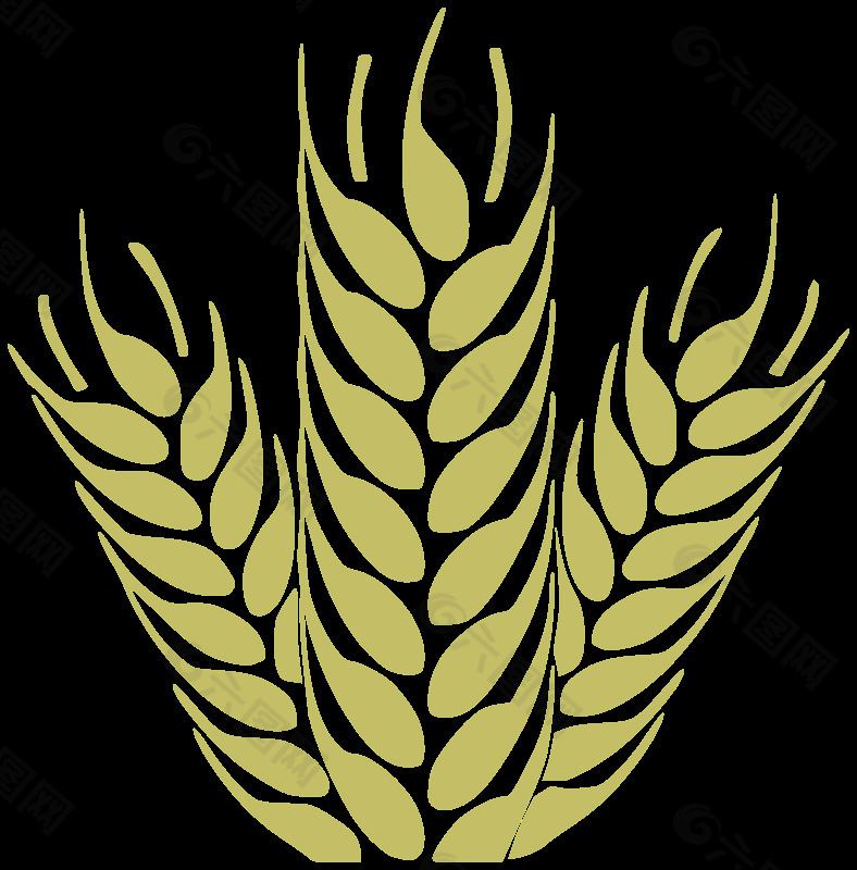 1 -特里戈小麥