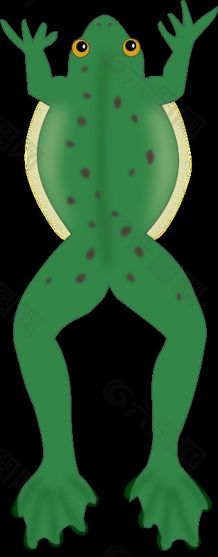 青蛙