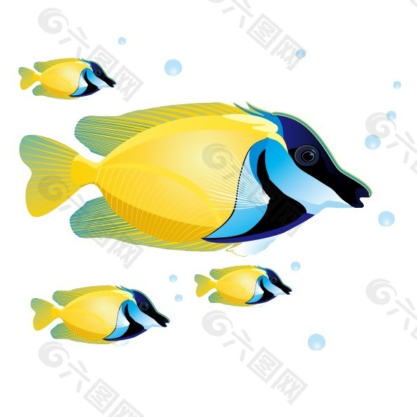 印花矢量圖 動物 魚 海洋生物 色彩 免費(fèi)素材