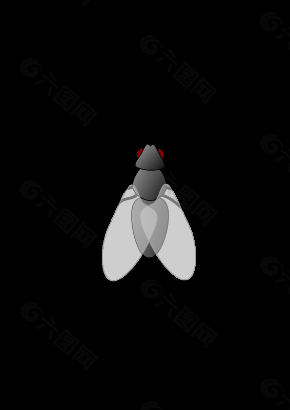 飛01