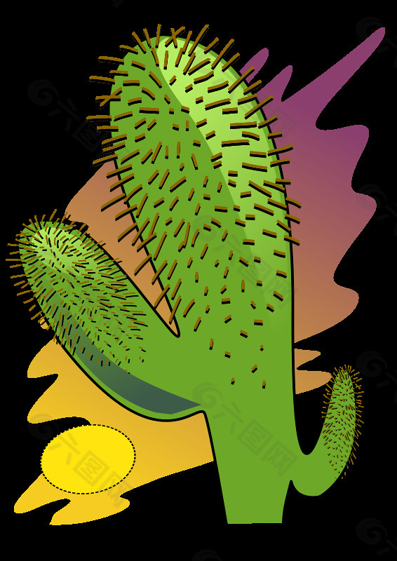 cacuts 01