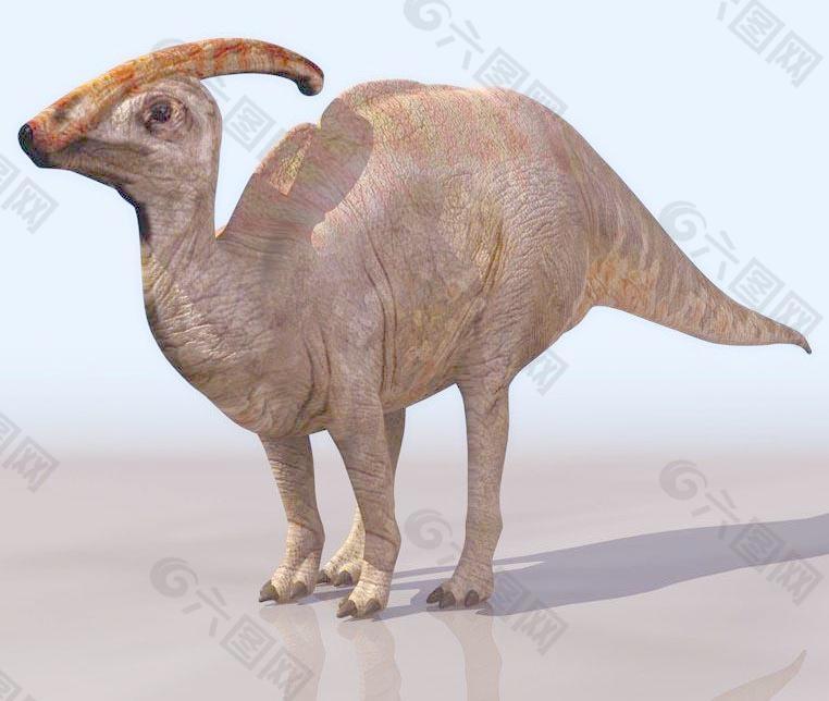 dinosaur 副龙栉龙 鸡冠龙 副栉龙 似棘龙 高模