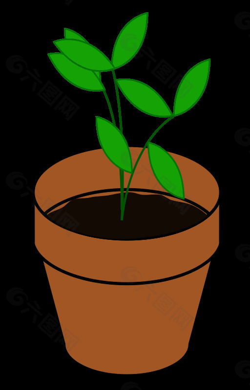 植物，兵馬俑