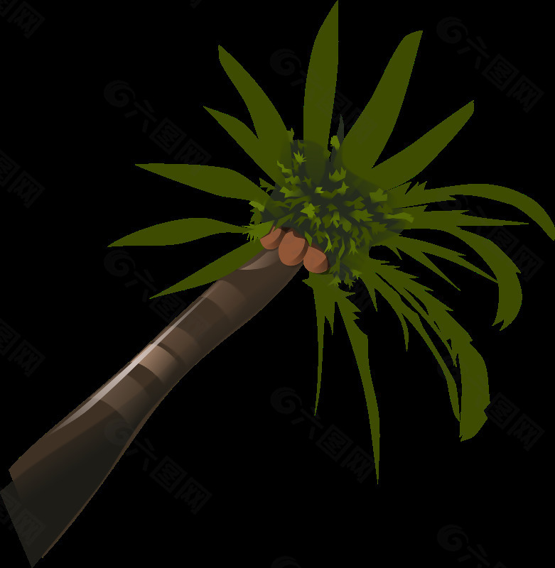 coconut_palm