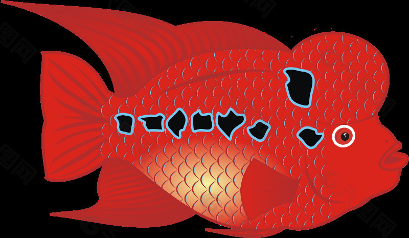 flowerhorn魚