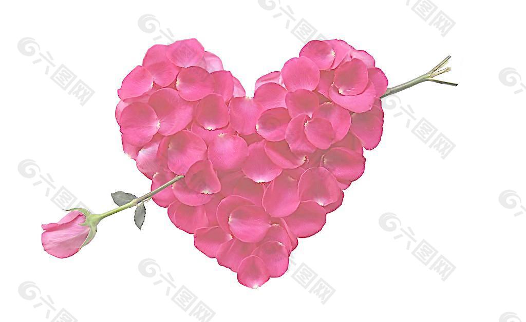 心形玫瑰花瓣圖片