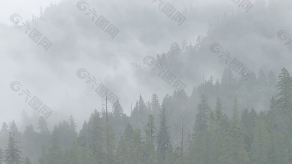 霧林山腰股票視頻 視頻免費(fèi)下載