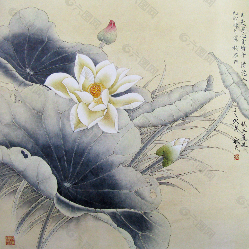 荷花 睡蓮 國(guó)畫