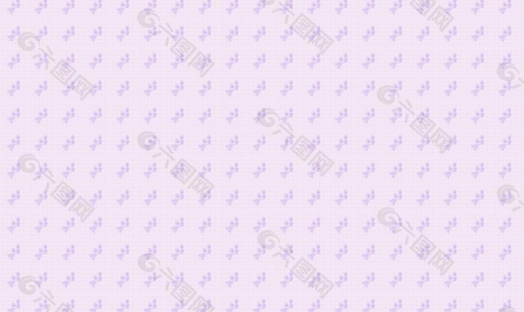 郁金香30