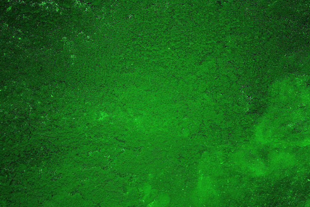 green004