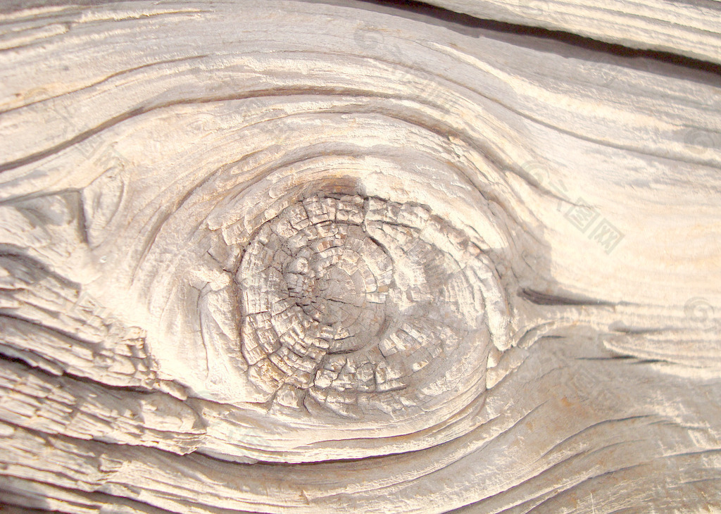 tree_knot