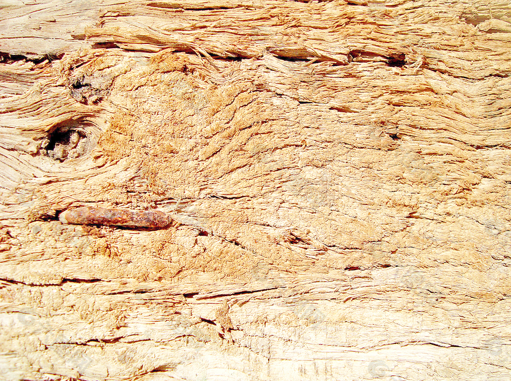 a_texture_of_old_wooden_piece
