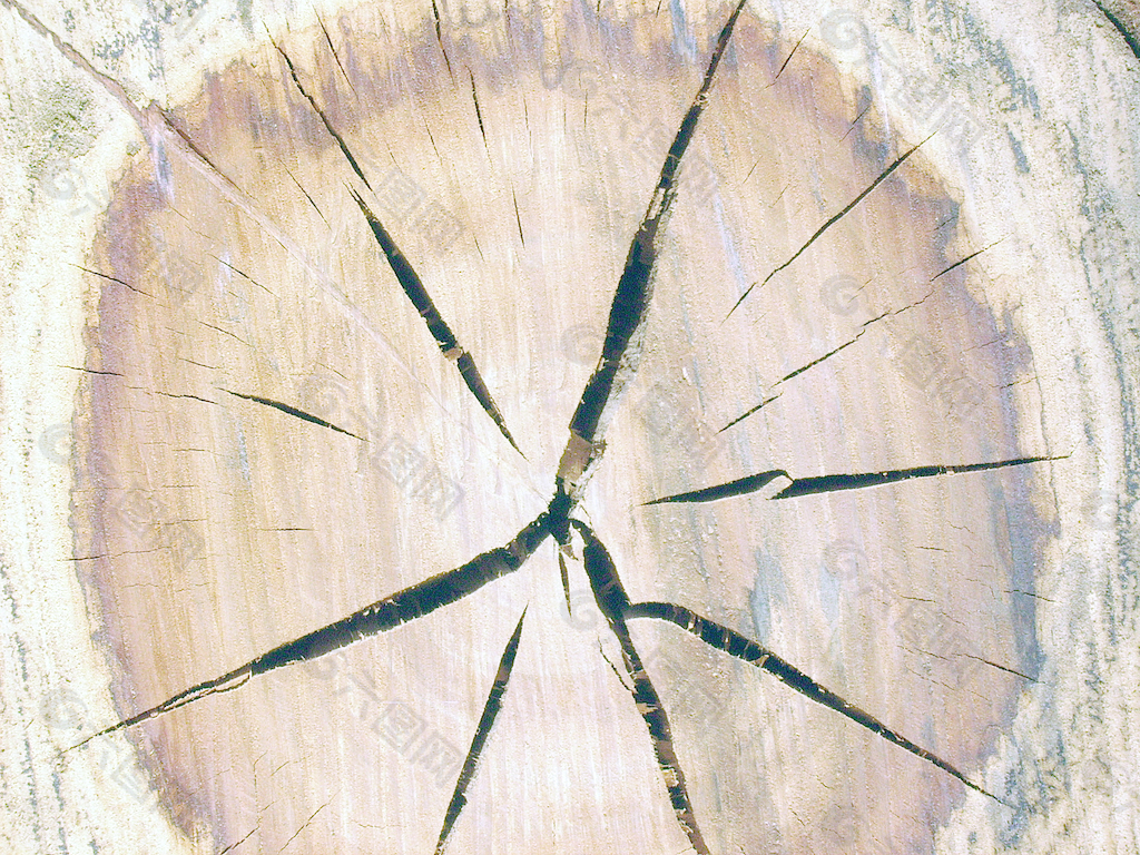 crack_wood