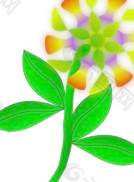 奇怪的花剪輯藝術(shù)