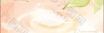 露珠在葉子和羽毛