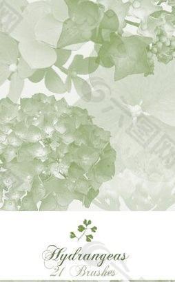 八仙花筆刷 下載