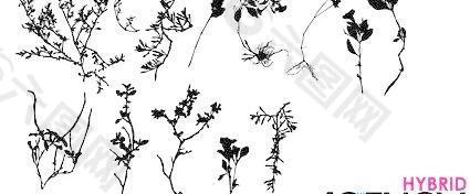 枯萎的植物剪影矢量素材