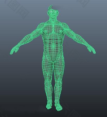 人体3d模型