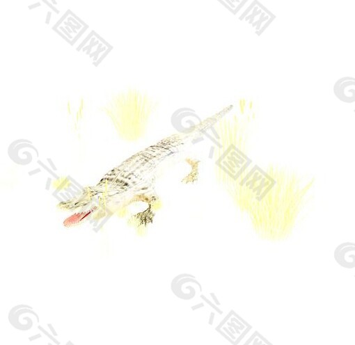 鱷魚3d模型