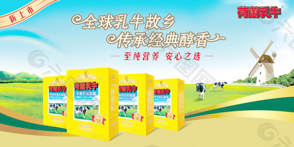 荷蘭乳牛新品上市