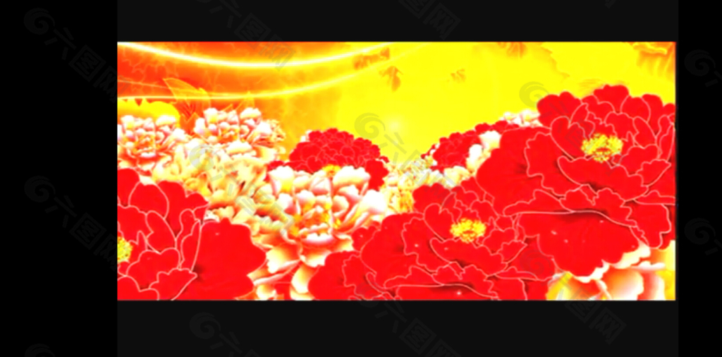 牡丹花视频素材