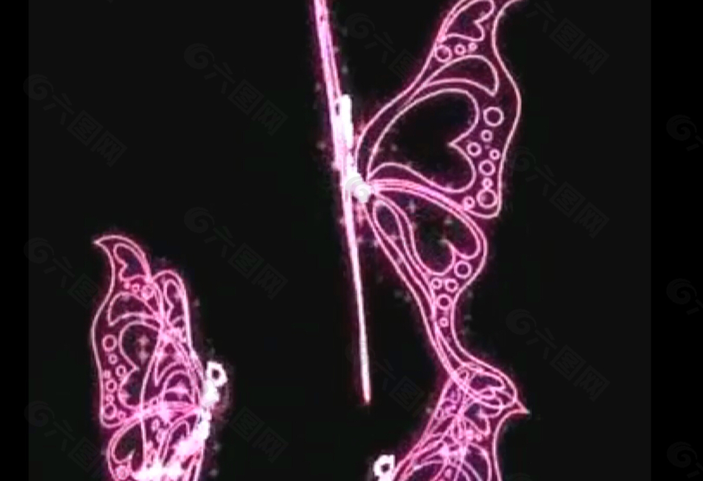 閃光蝴蝶視頻素材
