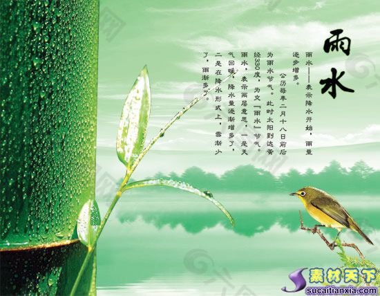二十四節(jié)氣之--雨水psd分層模板