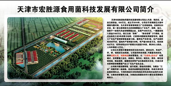 公司簡介