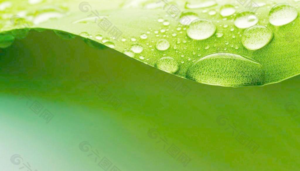 綠色 水珠圖片