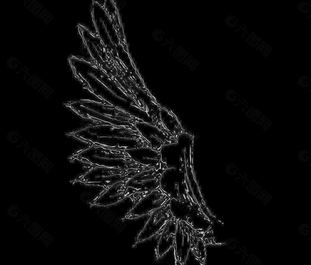 翅膀水的紋理圖片