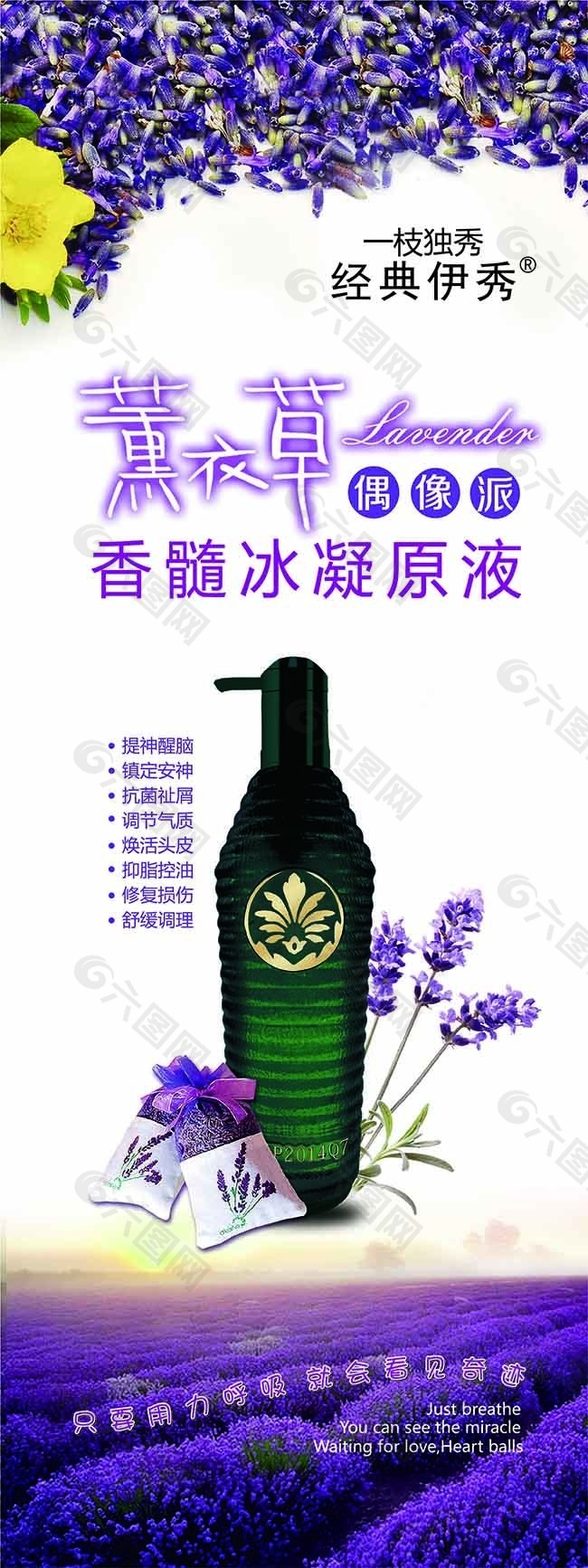 薰衣草展架