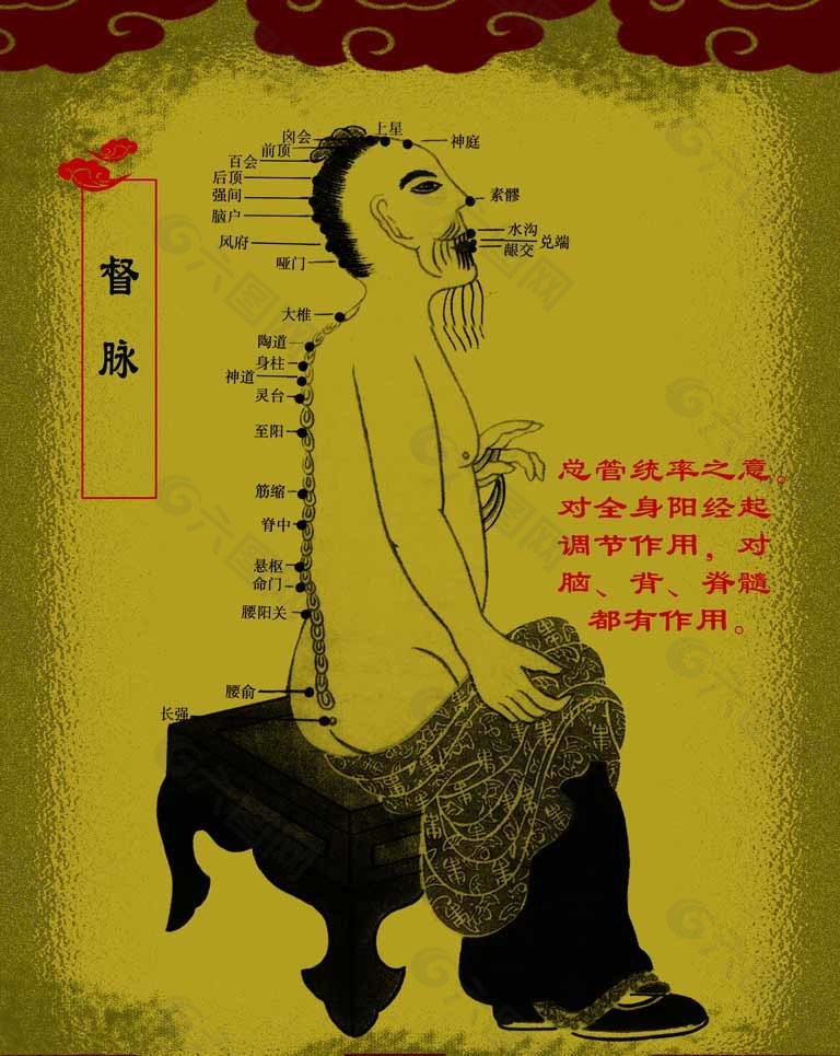 經(jīng)絡(luò)圖圖片