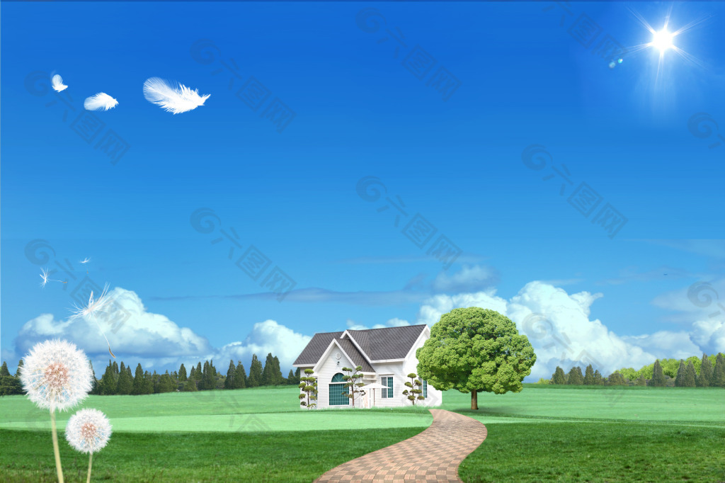 藍天白云蒲公英草地羽毛房子